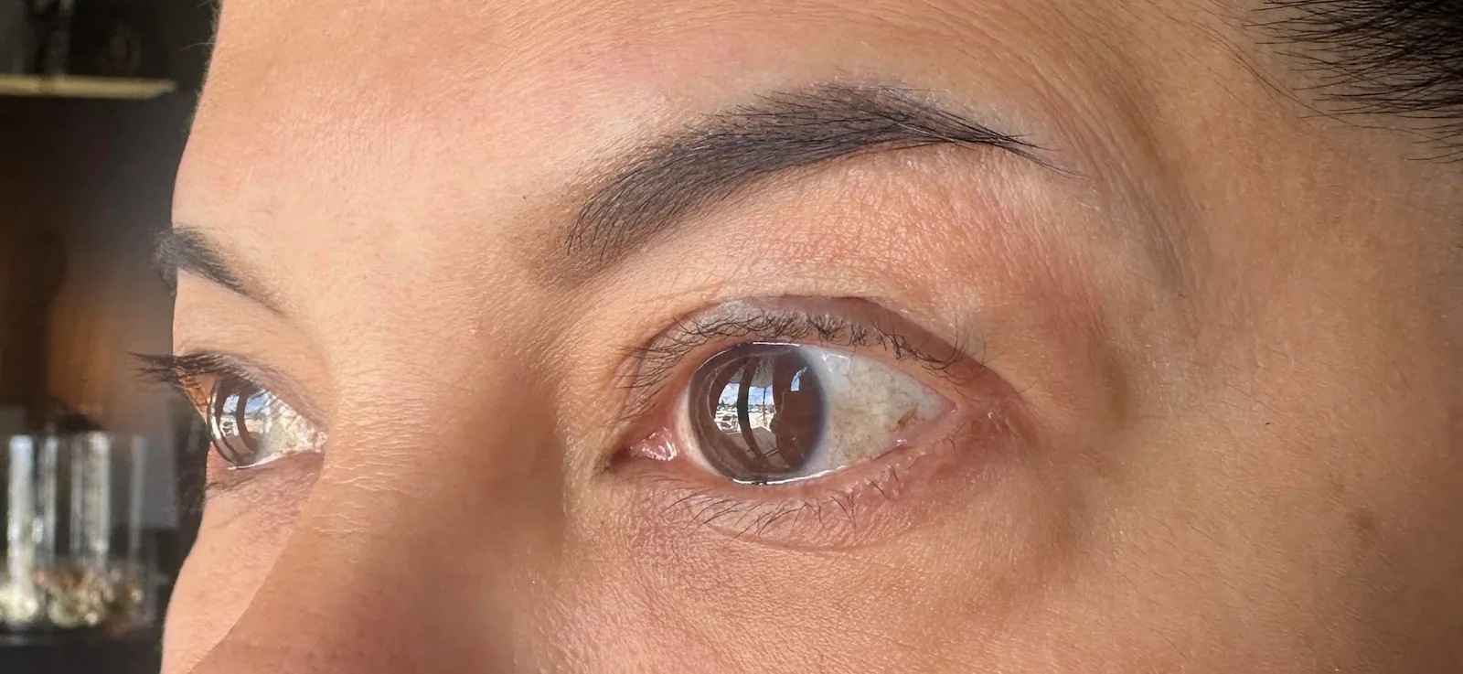 Brow Wax & Tint photo 3